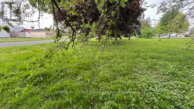 3877 Lasalle Line, Enniskillen, Ontario  N0N 1R0 - Photo 6 - X13449268