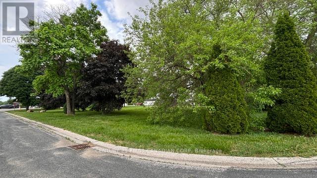 3877 Lasalle Line, Enniskillen, Ontario  N0N 1R0 - Photo 7 - X13449268