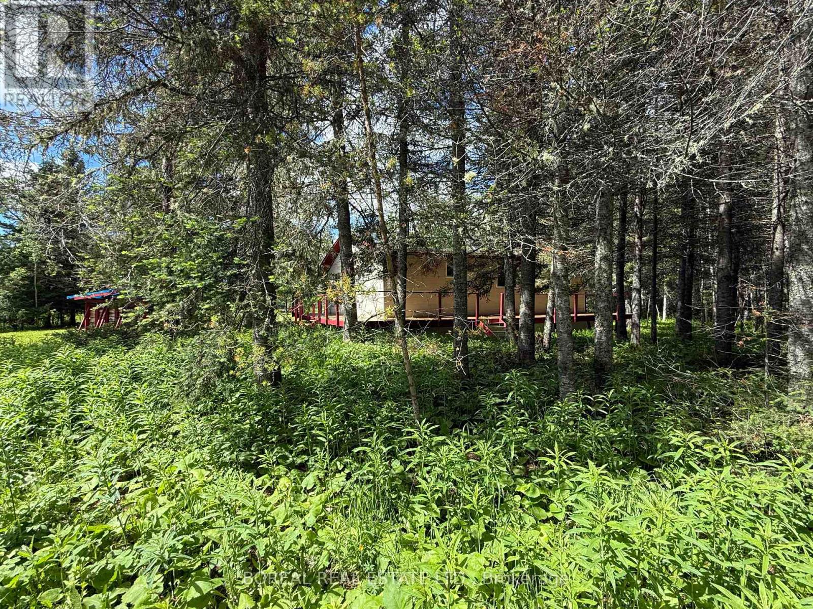 81 Bentley Lake Road, Cochrane, Ontario  P0L 1C0 - Photo 12 - T13449252