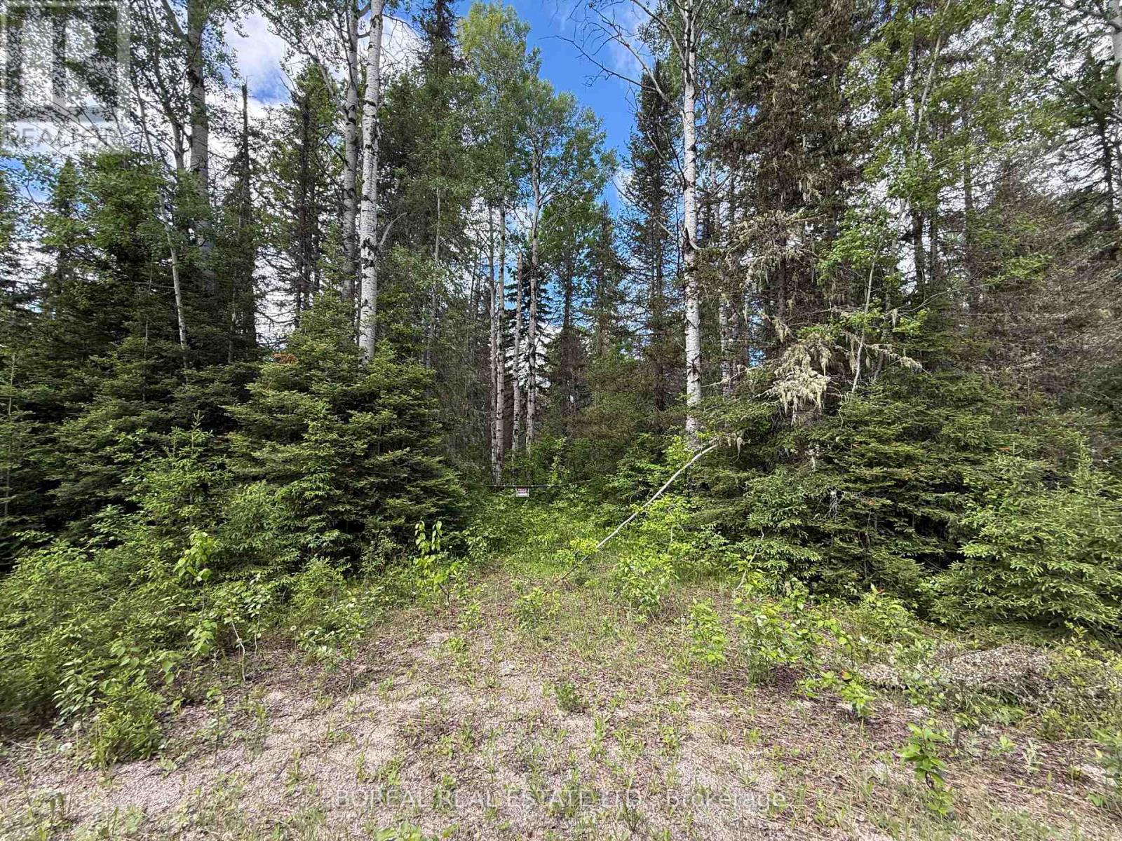 81 Bentley Lake Road, Cochrane, Ontario  P0L 1C0 - Photo 22 - T13449252