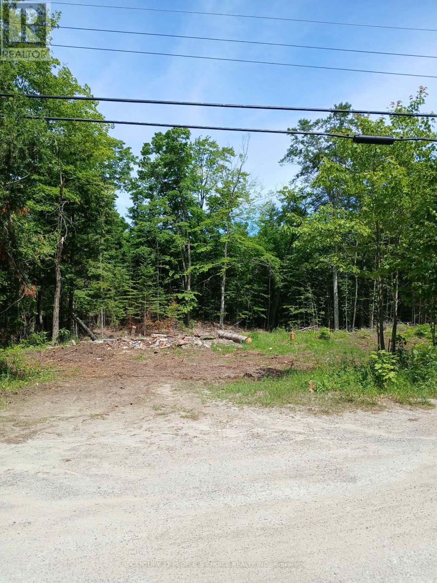 1005 Porkys Road, Minden Hills, Ontario  K0M 2K0 - Photo 8 - X13414388