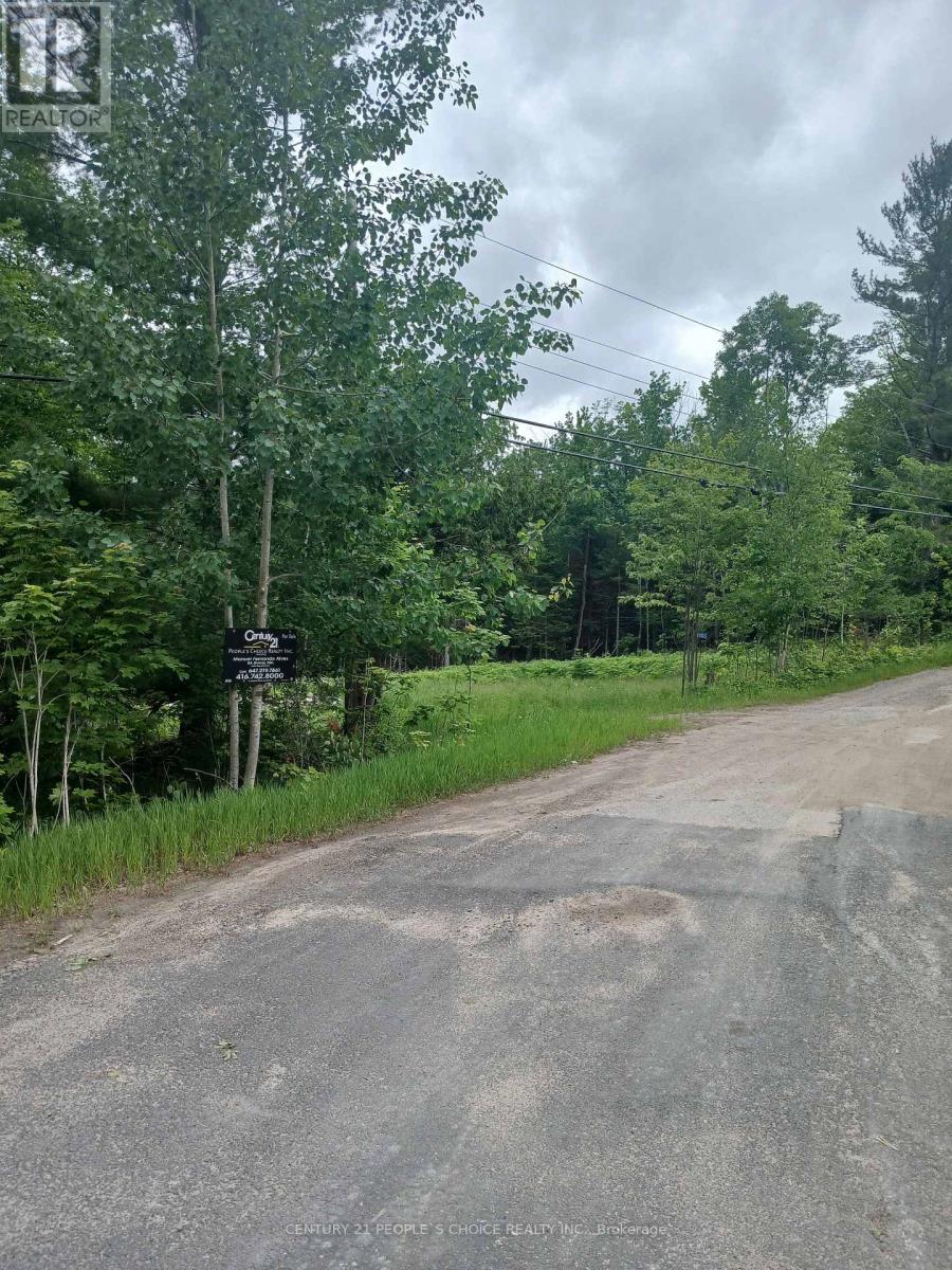 1005 Porkys Road, Minden Hills, Ontario  K0M 2K0 - Photo 2 - X13414388