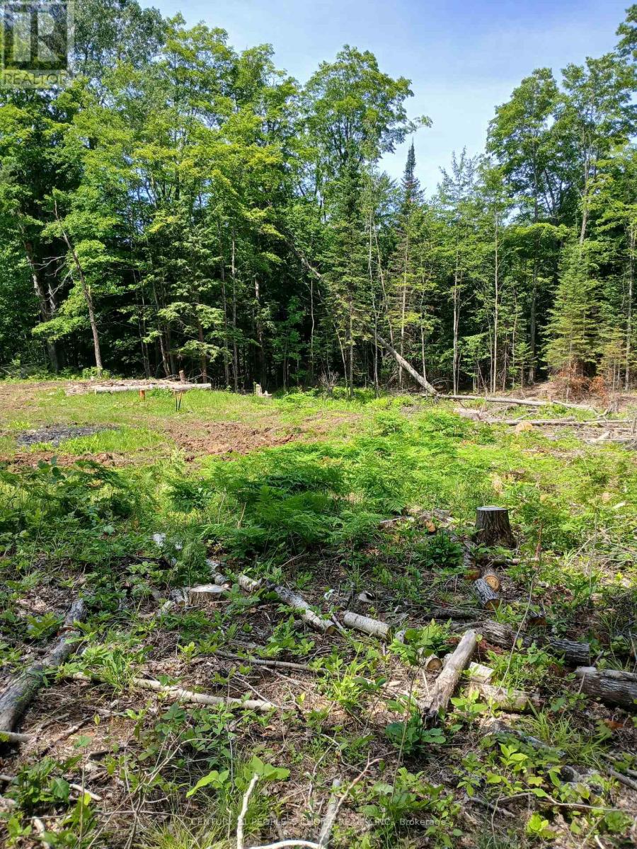 1005 Porkys Road, Minden Hills, Ontario  K0M 2K0 - Photo 6 - X13414388