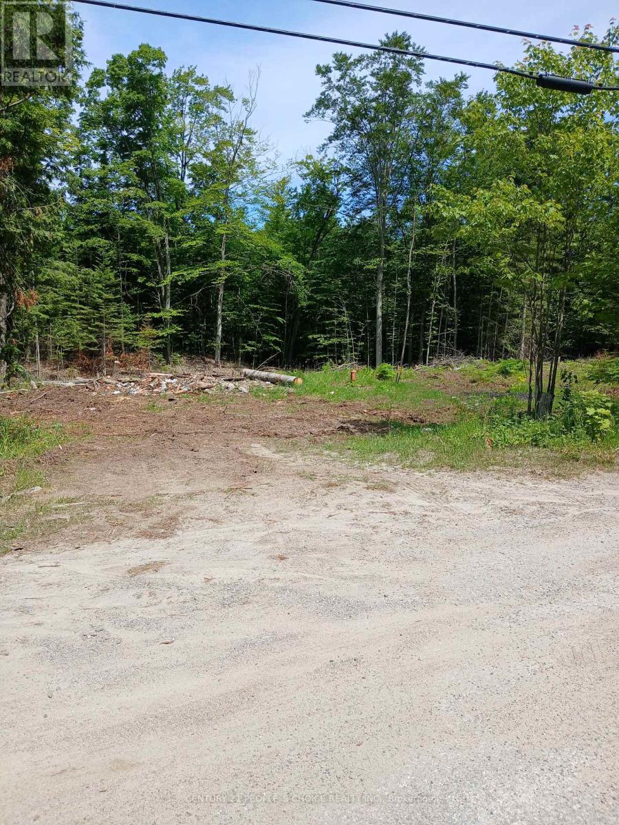 1005 Porkys Road, Minden Hills, Ontario  K0M 2K0 - Photo 5 - X13414388