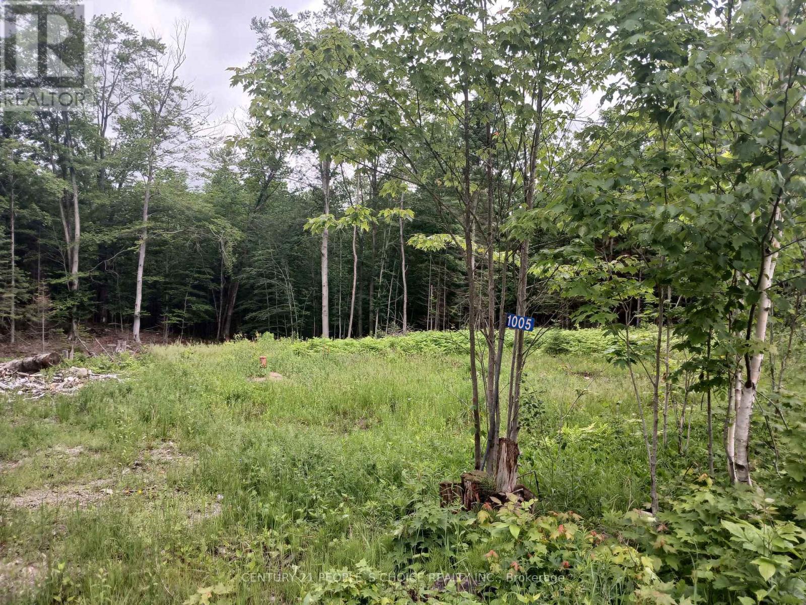 1005 Porkys Road, Minden Hills, Ontario  K0M 2K0 - Photo 14 - X13414388