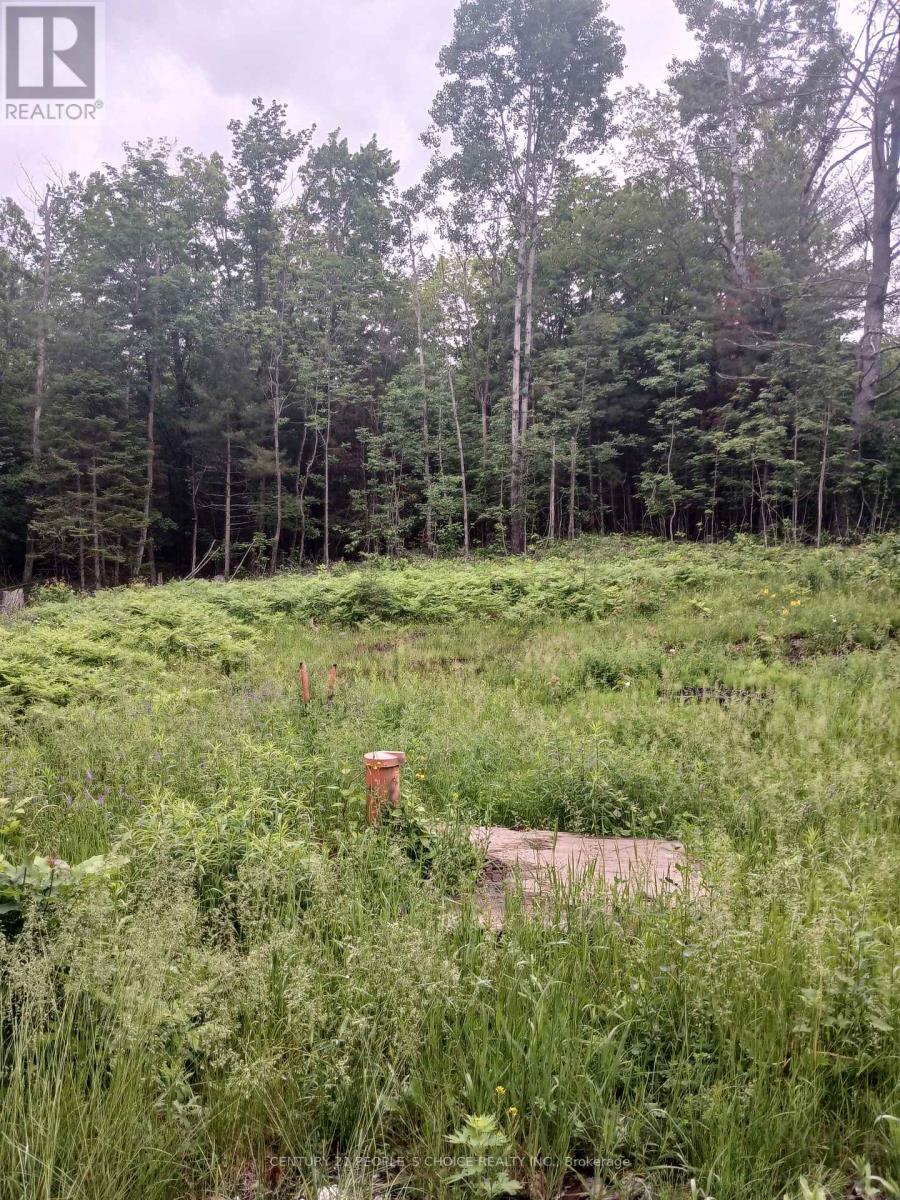 1005 Porkys Road, Minden Hills, Ontario  K0M 2K0 - Photo 16 - X13414388