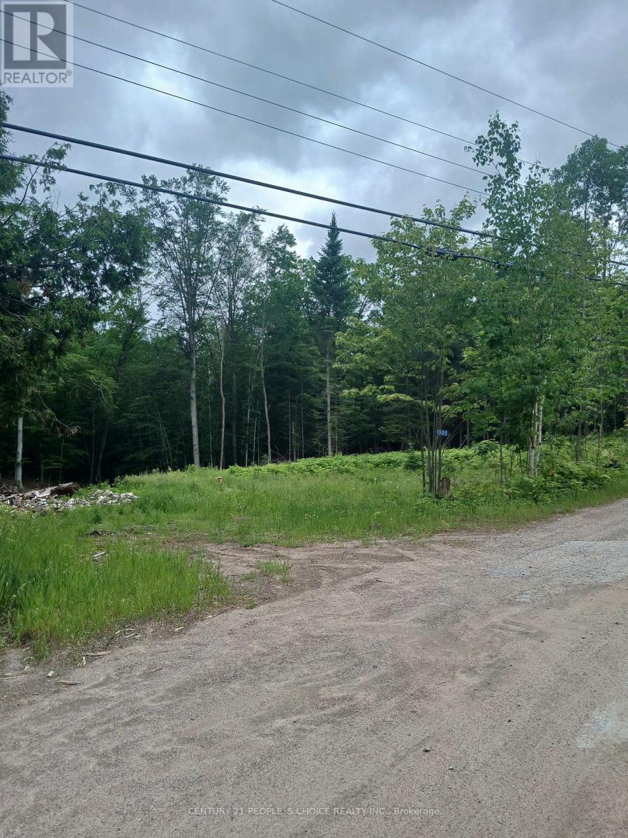 1005 Porkys Road, Minden Hills, Ontario  K0M 2K0 - Photo 3 - X13414388