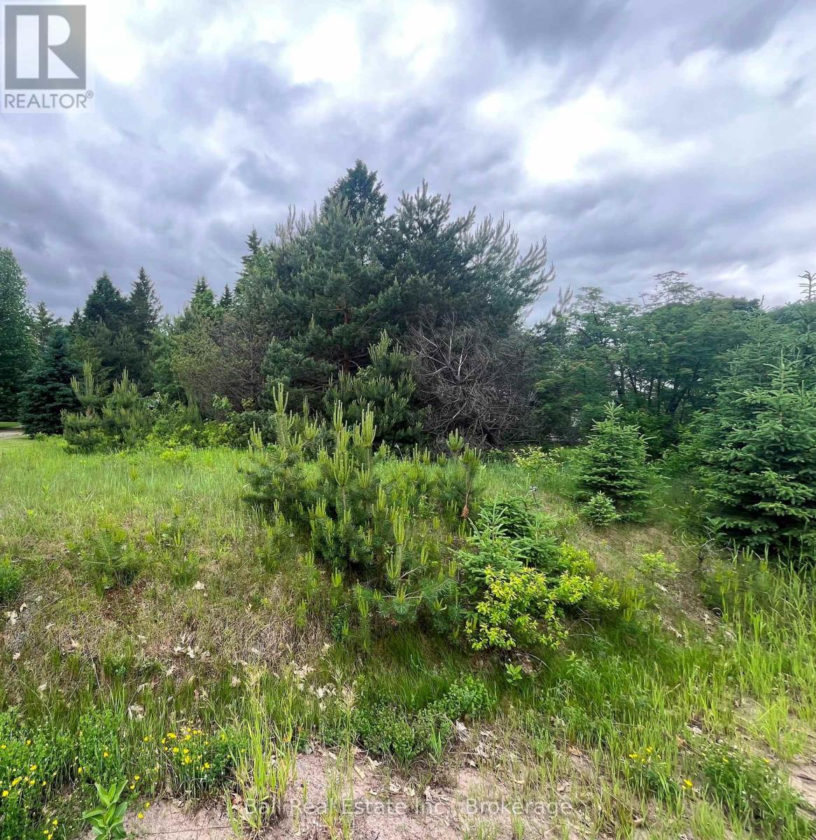 Pt Lt 76 Hastings Street, Bancroft, Ontario  K0L 1C0 - Photo 3 - X13448012