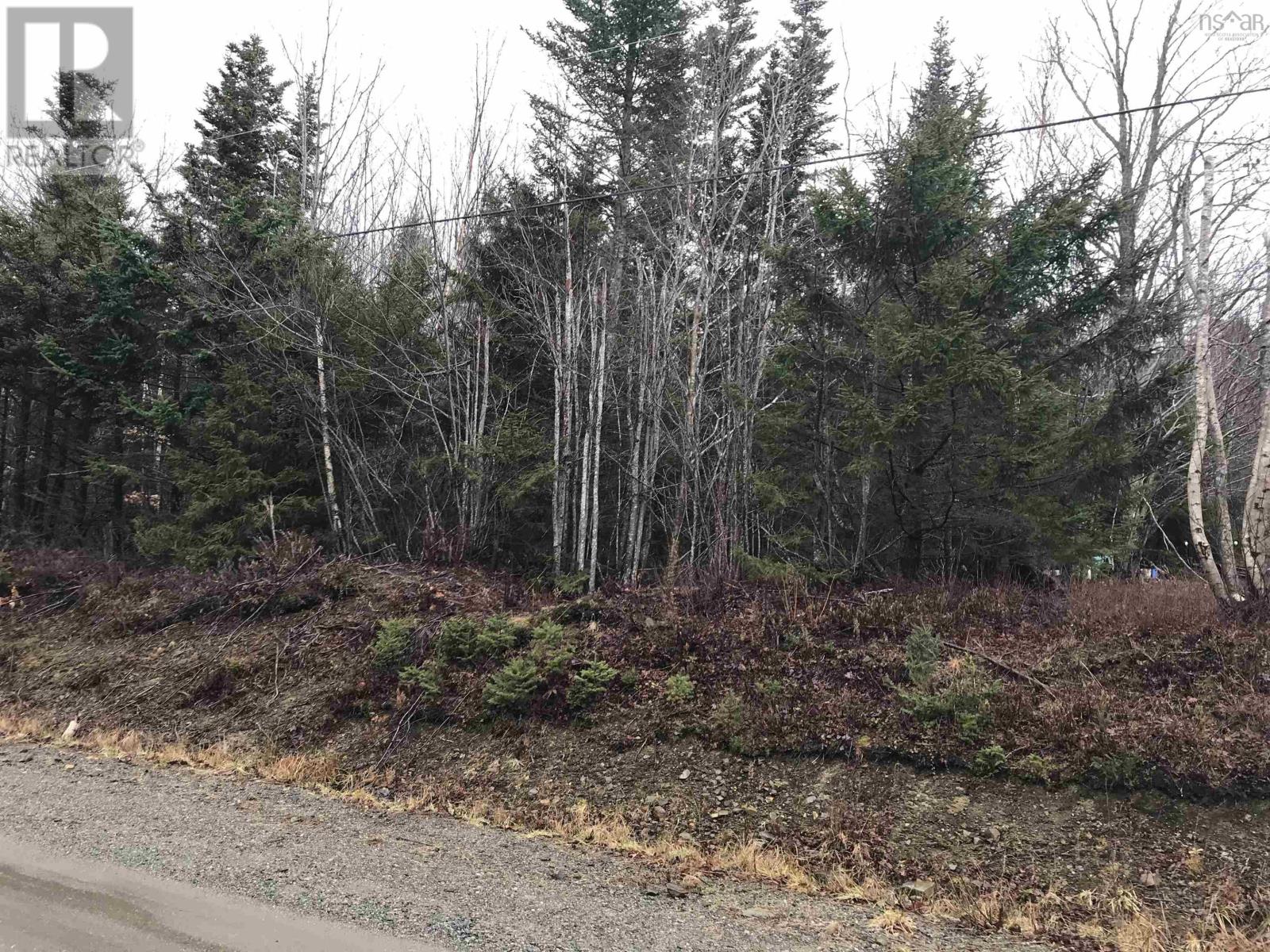 Lot, Belleville Road, Belleville South, Nova Scotia  B0W 3M0 - Photo 4 - 202227645