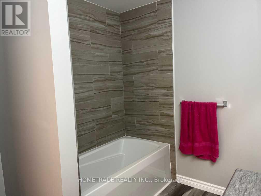 Lower - 206 Little Avenue, Barrie, Ontario  L4N 6L1 - Photo 12 - S13450364