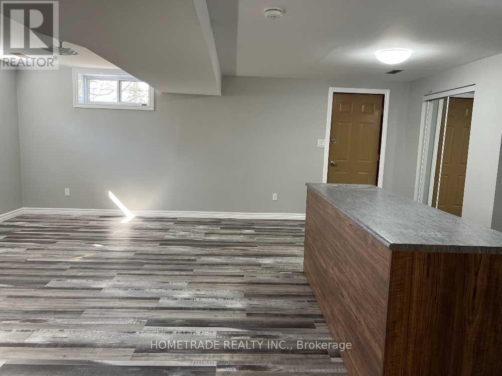 Lower - 206 Little Avenue, Barrie, Ontario  L4N 6L1 - Photo 17 - S13450364