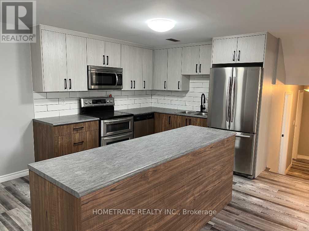 Lower - 206 Little Avenue, Barrie, Ontario  L4N 6L1 - Photo 6 - S13450364