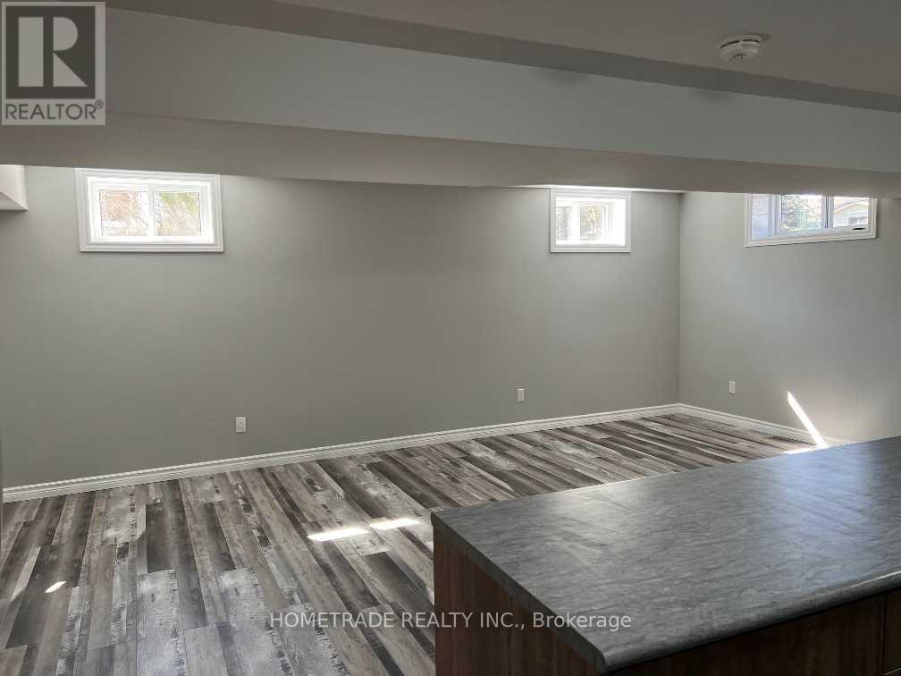 Lower - 206 Little Avenue, Barrie, Ontario  L4N 6L1 - Photo 8 - S13450364