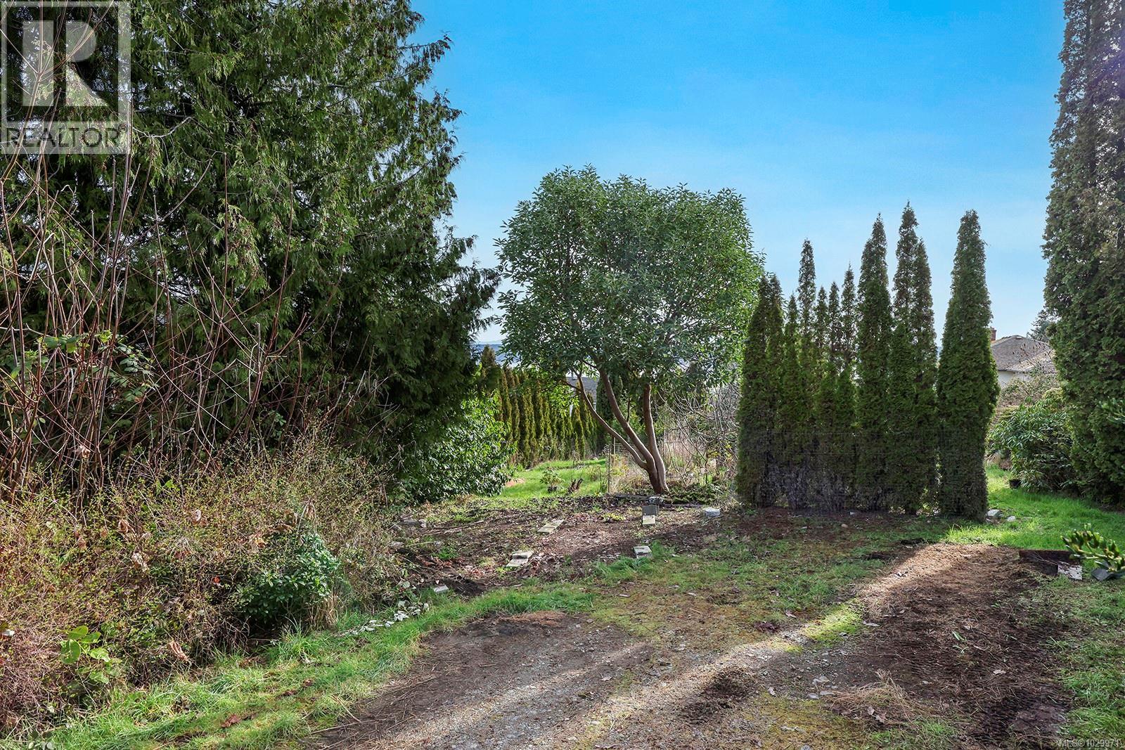 Lot 6 4th St, Union Bay, British Columbia  V0R 3B0 - Photo 7 - 1029971