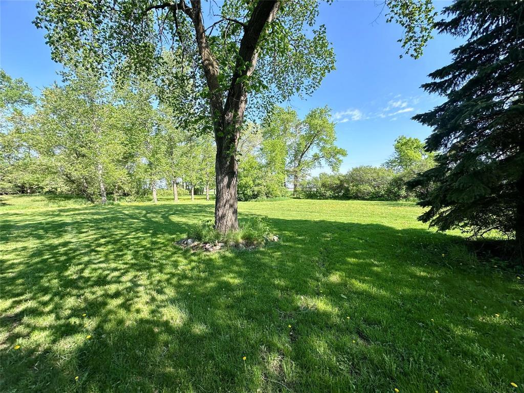 1712 Dawson Road, Lorette, Manitoba  R5K 0T5 - Photo 44 - 202612244