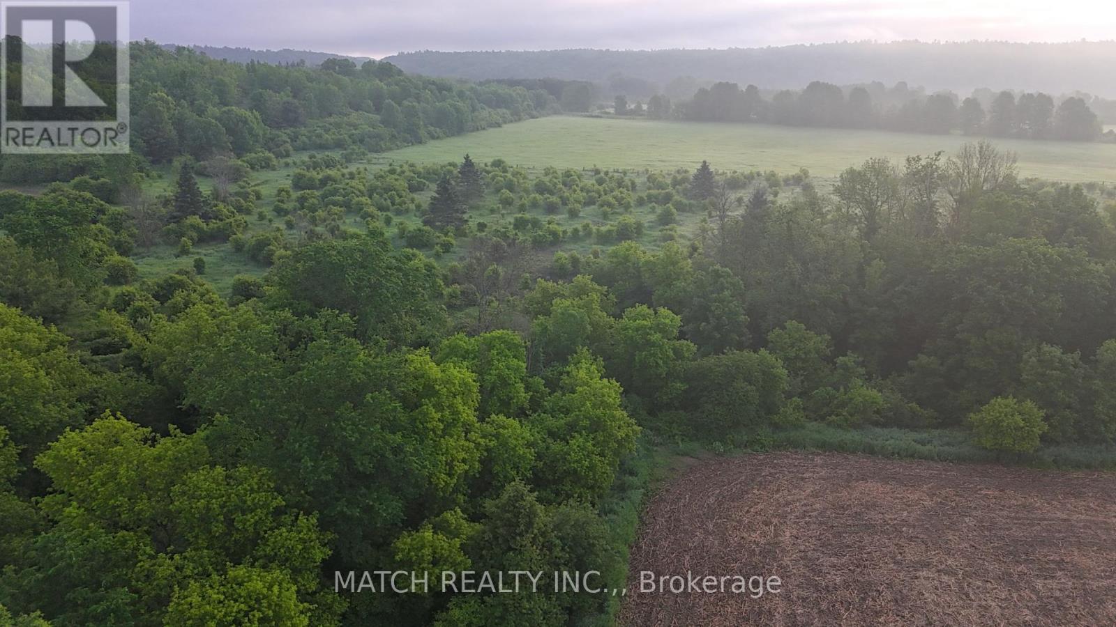 20250 17 Highway, Whitewater Region, Ontario  K0J 1K0 - Photo 32 - X13450990