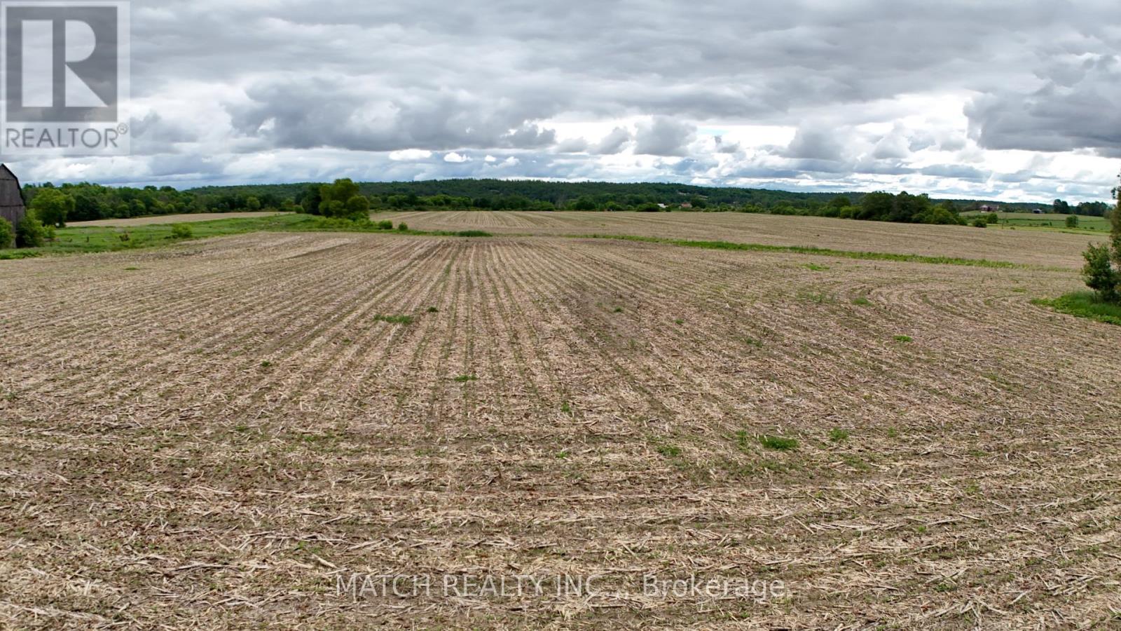 20250 17 Highway, Whitewater Region, Ontario  K0J 1K0 - Photo 8 - X13450990