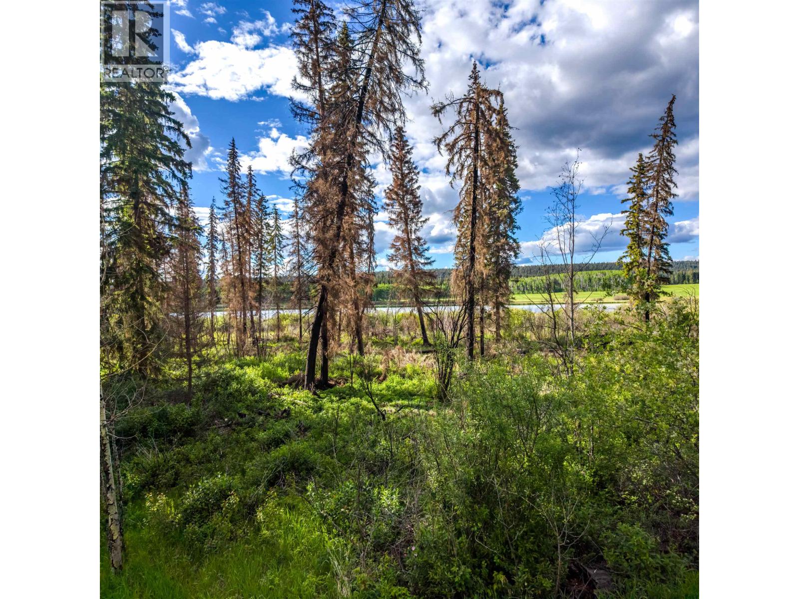 Lot 8 Horse Lake Road, Horse Lake, British Columbia  V0K 1X3 - Photo 12 - R3136367