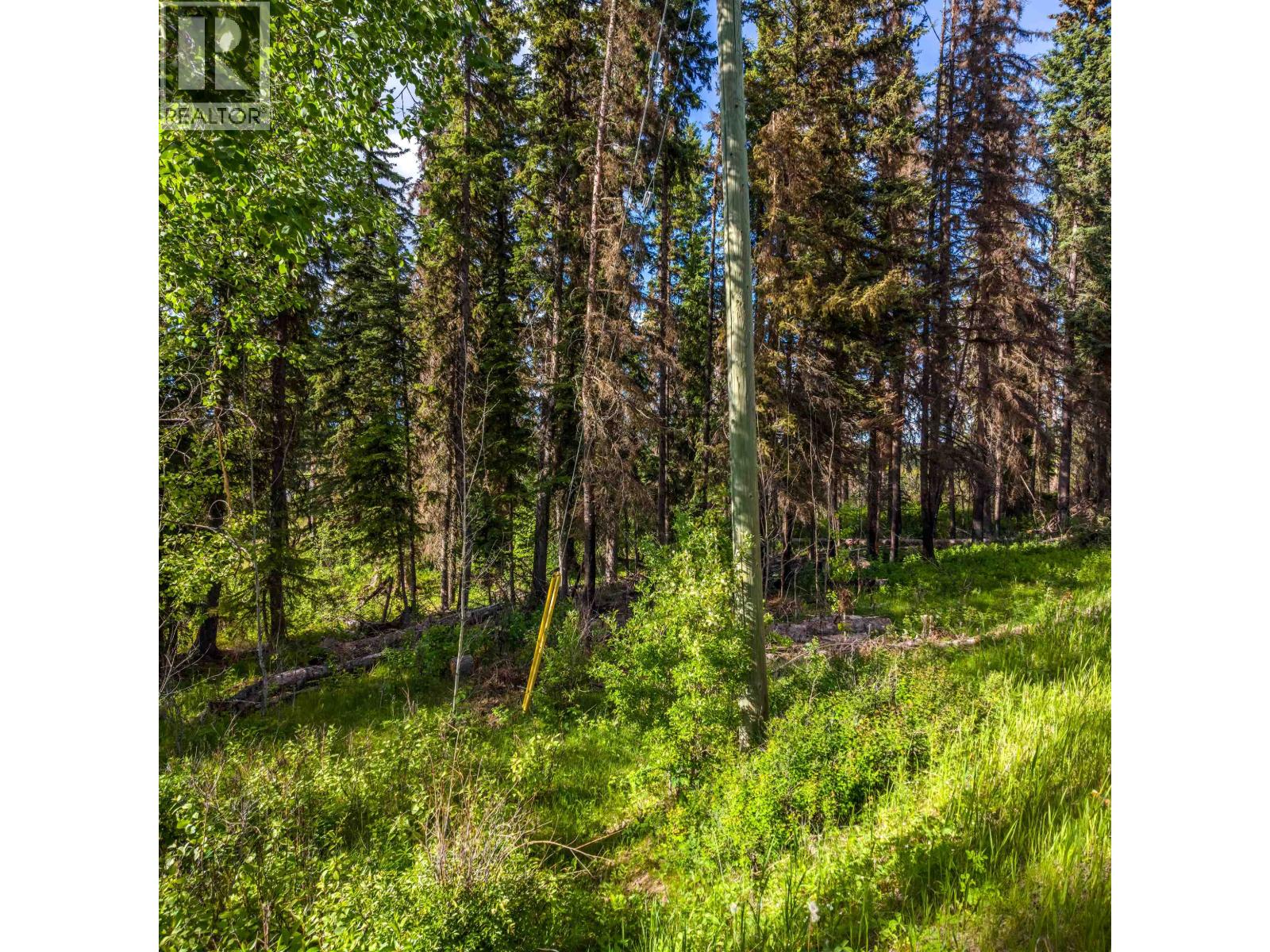 Lot 8 Horse Lake Road, Horse Lake, British Columbia  V0K 1X3 - Photo 15 - R3136367