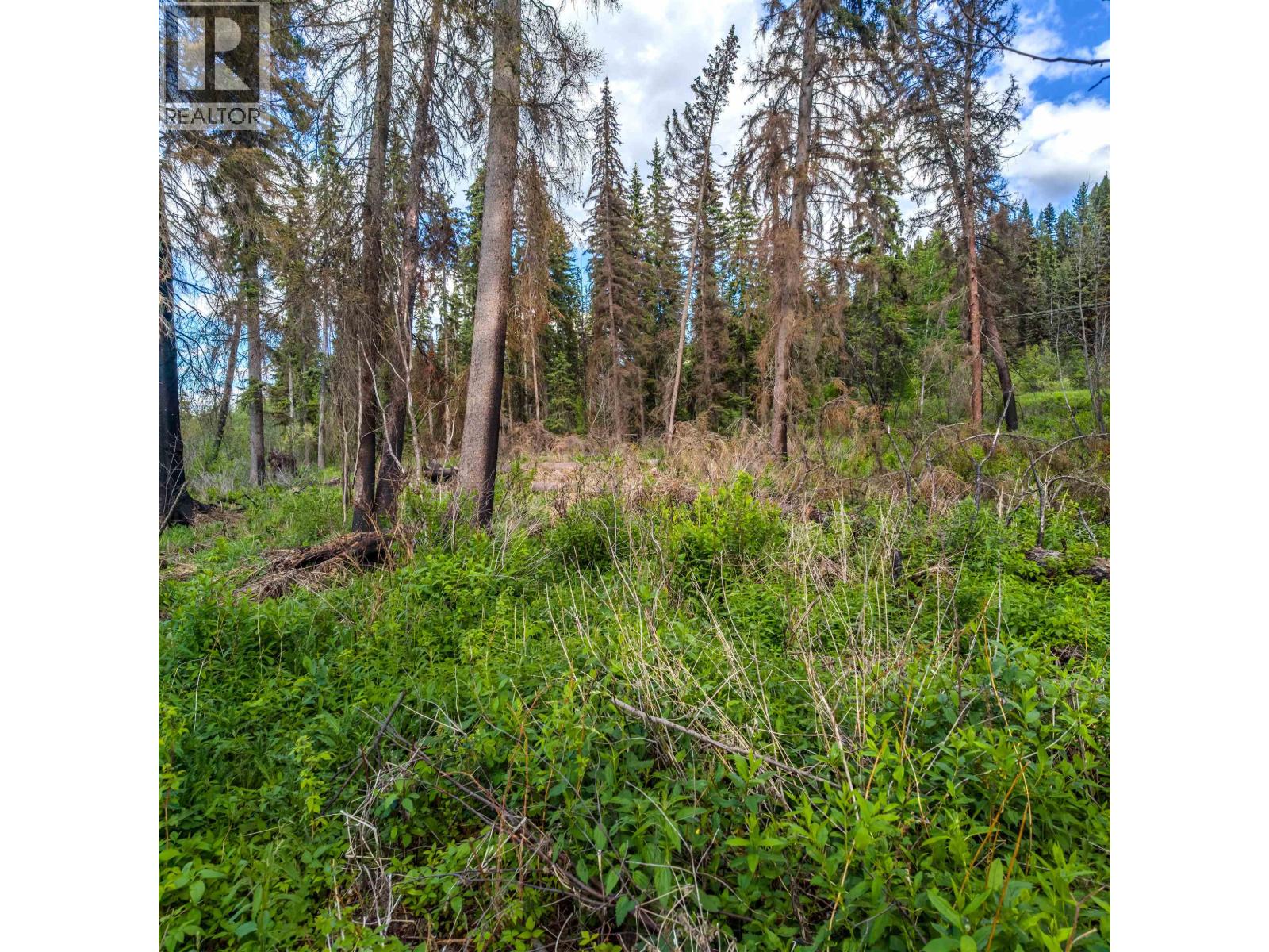 Lot 8 Horse Lake Road, Horse Lake, British Columbia  V0K 1X3 - Photo 16 - R3136367