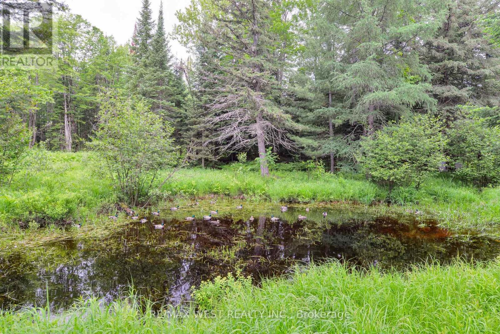 365 Clearwater Lake Road, Huntsville, Ontario  P0B 1L0 - Photo 10 - X13450642
