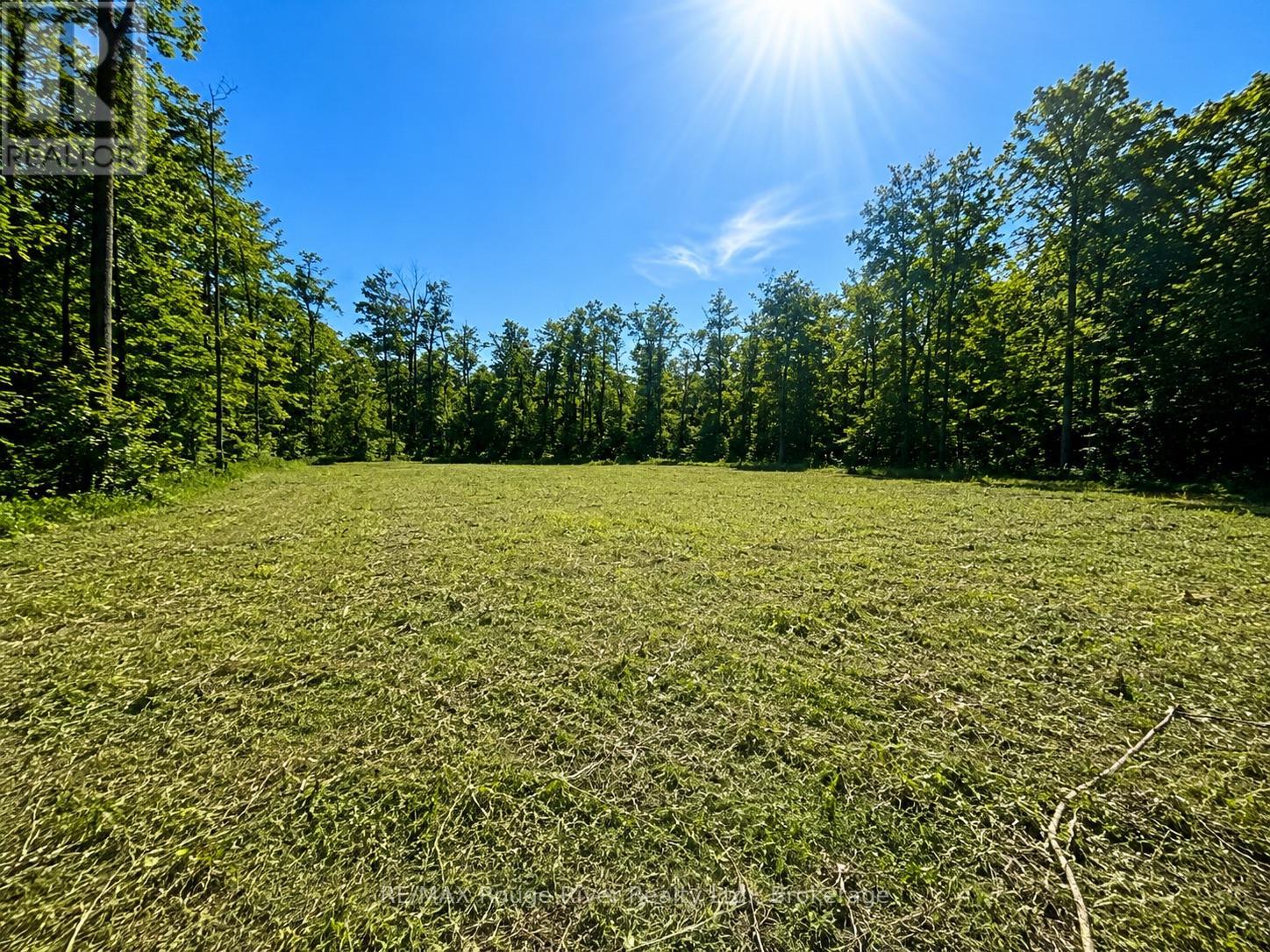 1293 David Fife Line, Otonabee-South Monaghan, Ontario  K0L 2G0 - Photo 1 - X13450864