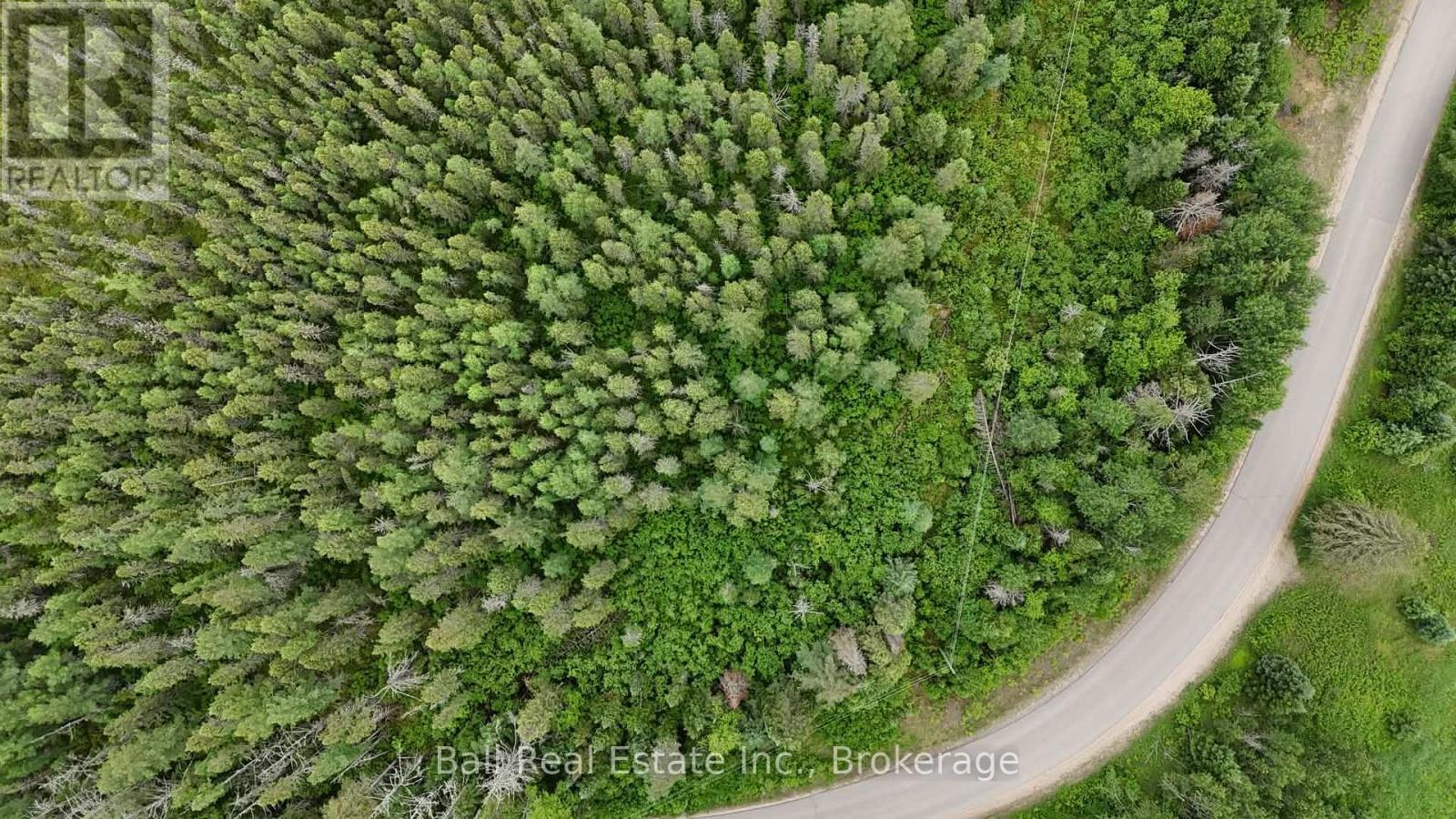 0 Musclow Greenview Road, Hastings Highlands, Ontario  K0L 1C0 - Photo 3 - X13450968