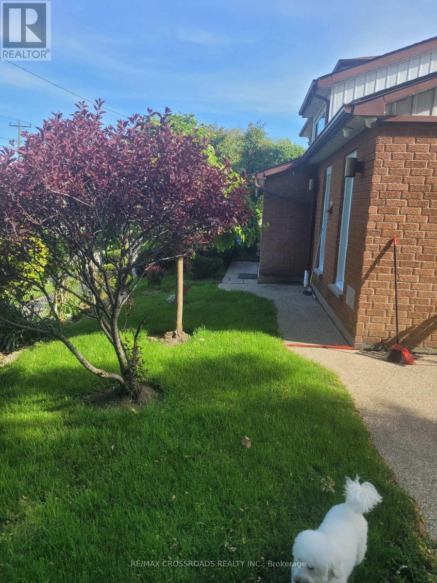 36 Caverley Drive, Toronto, Ontario  M9R 2L8 - Photo 4 - W13447524