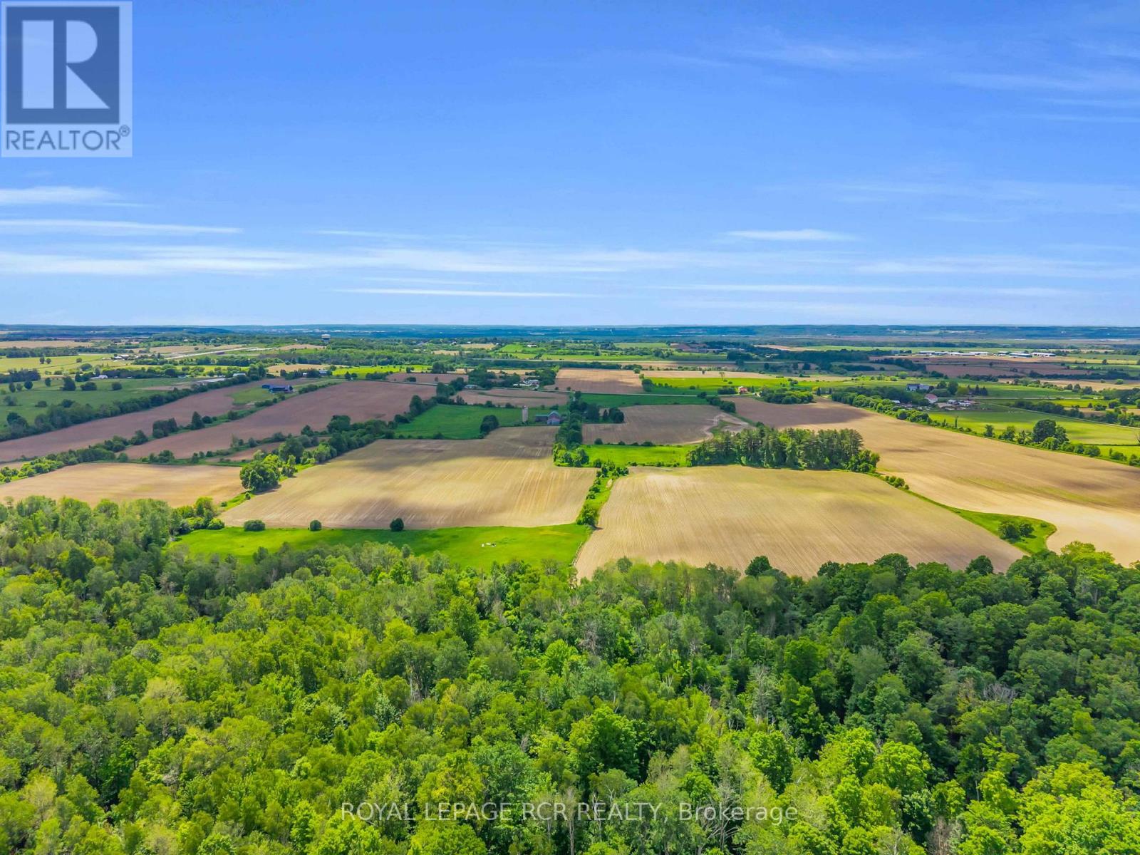20893 Woodbine Avenue, East Gwillimbury, Ontario  L0G 1R0 - Photo 12 - N13451012