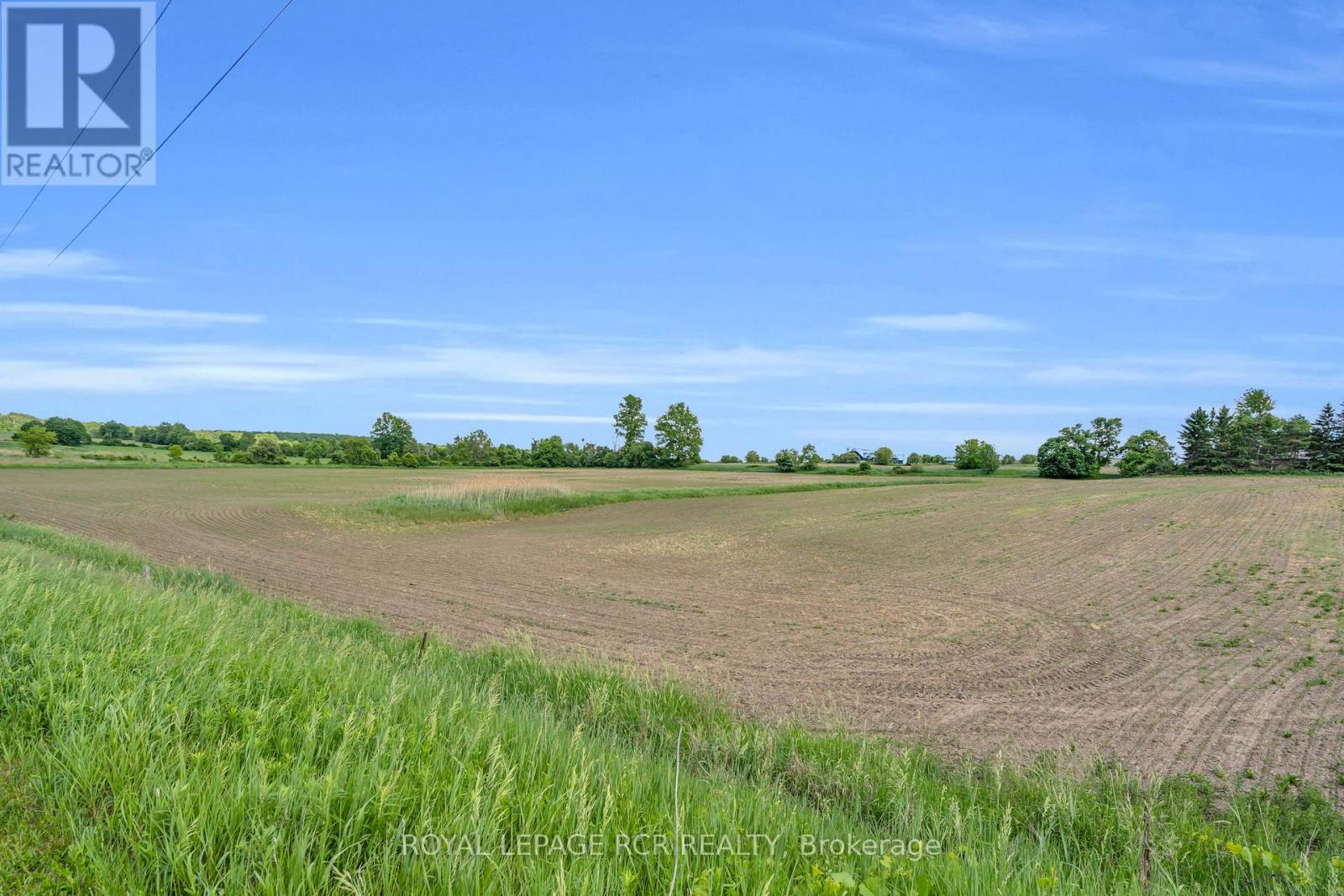 20893 Woodbine Avenue, East Gwillimbury, Ontario  L0G 1R0 - Photo 22 - N13451012