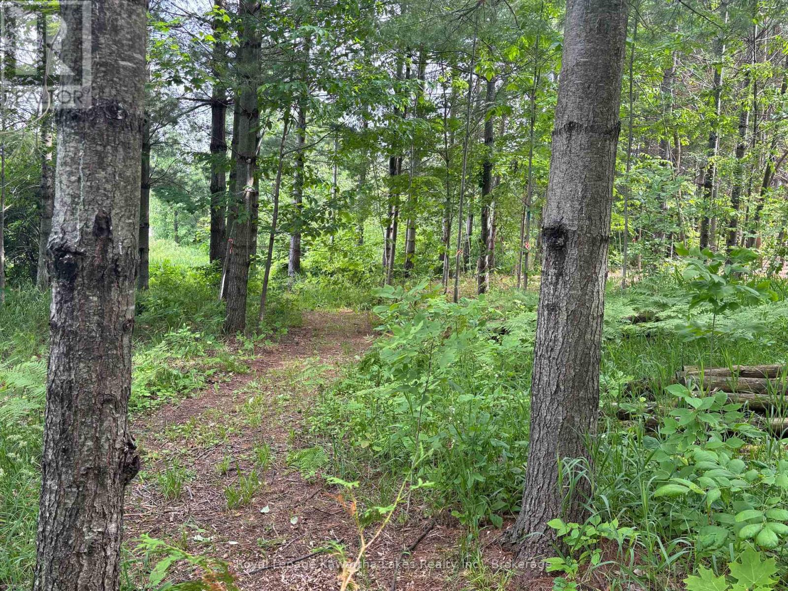 Pt Lt 11 Con 7 Ranchers Road, Kawartha Lakes, Ontario  K0M 1G0 - Photo 10 - X13451186