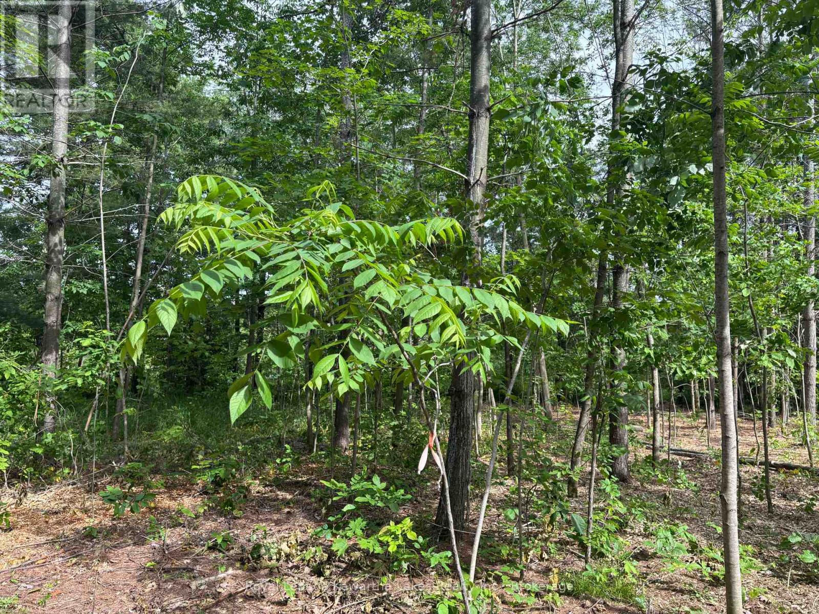 Pt Lt 11 Con 7 Ranchers Road, Kawartha Lakes, Ontario  K0M 1G0 - Photo 12 - X13451186