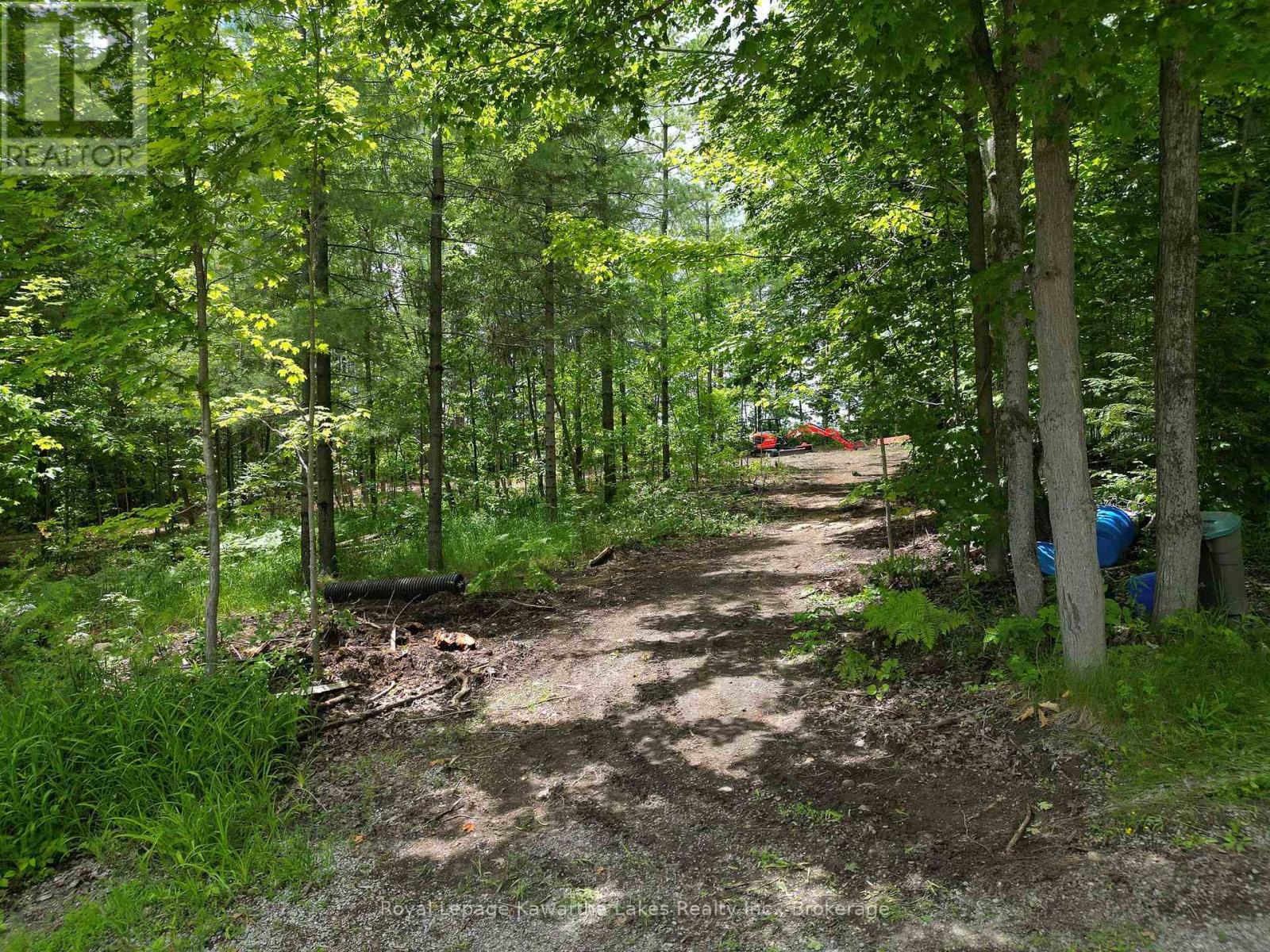 Pt Lt 11 Con 7 Ranchers Road, Kawartha Lakes, Ontario  K0M 1G0 - Photo 19 - X13451186