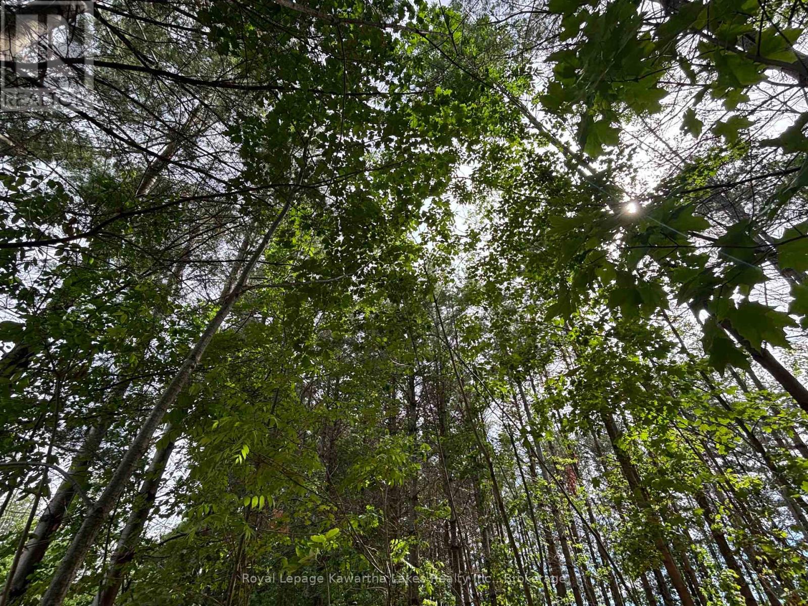 Pt Lt 11 Con 7 Ranchers Road, Kawartha Lakes, Ontario  K0M 1G0 - Photo 2 - X13451186