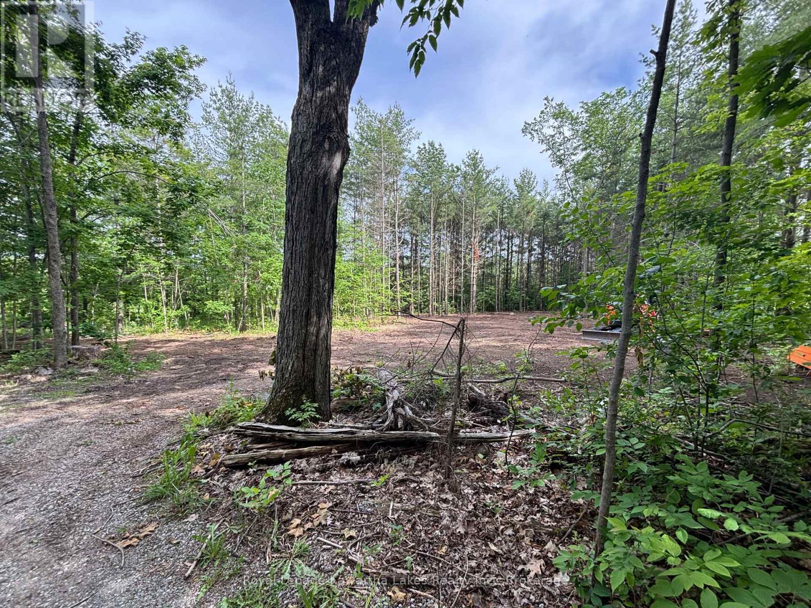 Pt Lt 11 Con 7 Ranchers Road, Kawartha Lakes, Ontario  K0M 1G0 - Photo 3 - X13451186