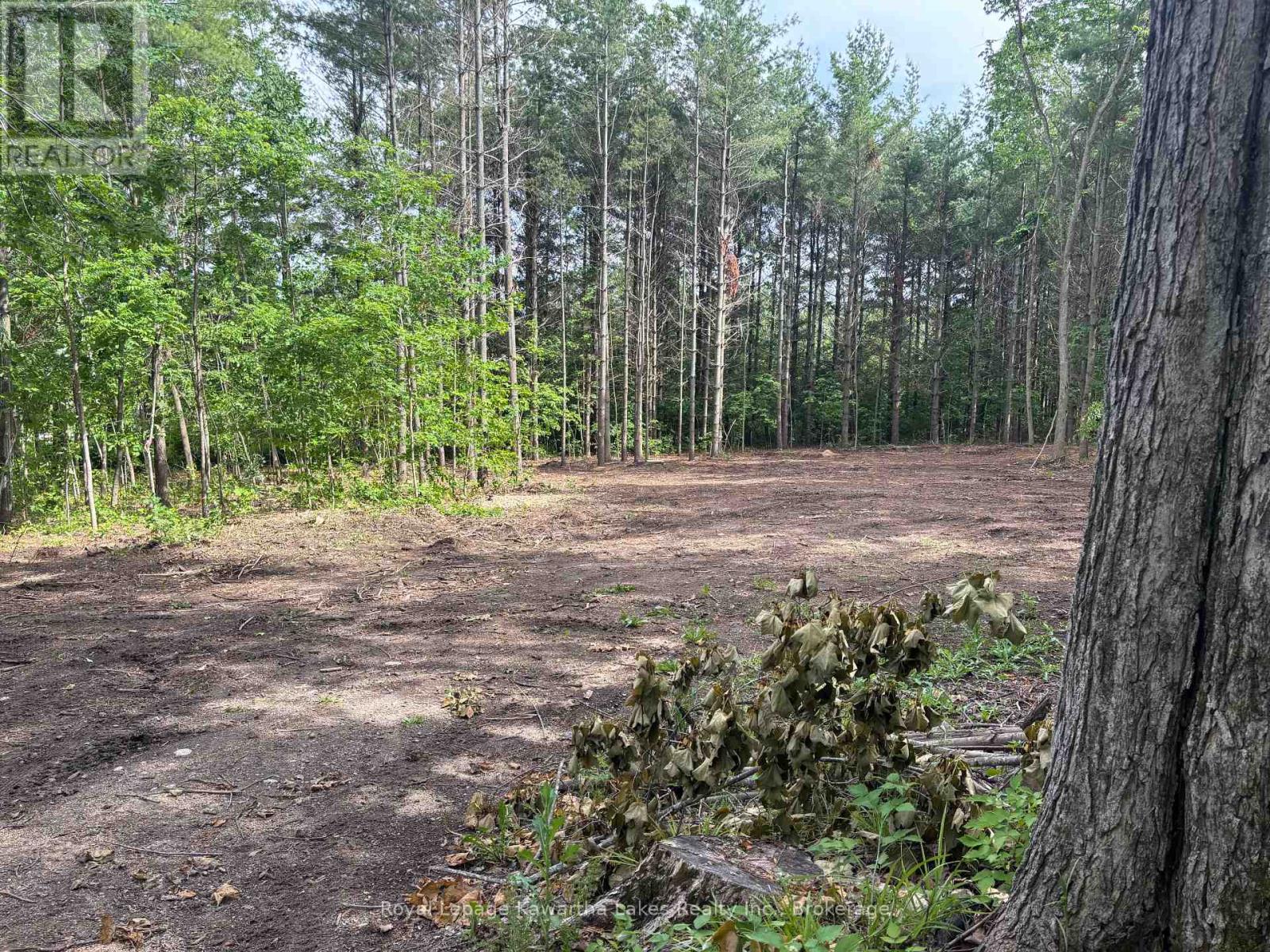 Pt Lt 11 Con 7 Ranchers Road, Kawartha Lakes, Ontario  K0M 1G0 - Photo 4 - X13451186