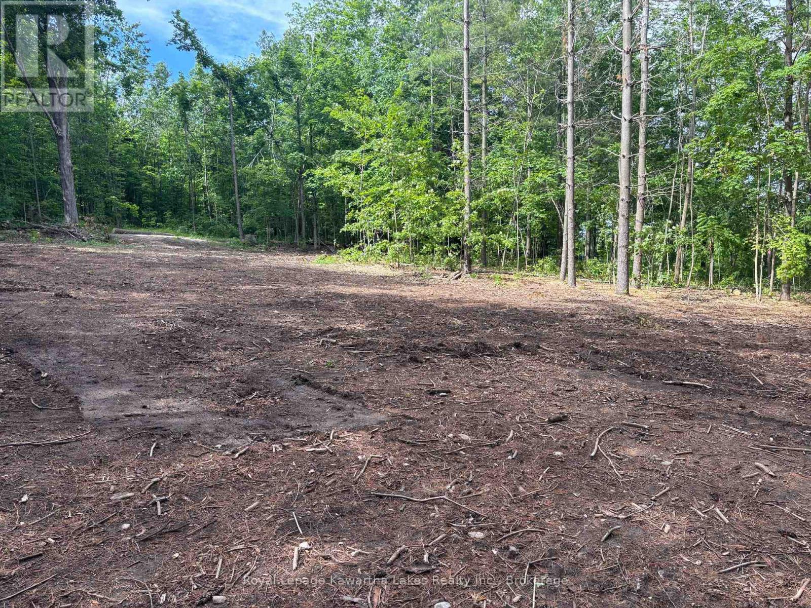 Pt Lt 11 Con 7 Ranchers Road, Kawartha Lakes, Ontario  K0M 1G0 - Photo 6 - X13451186