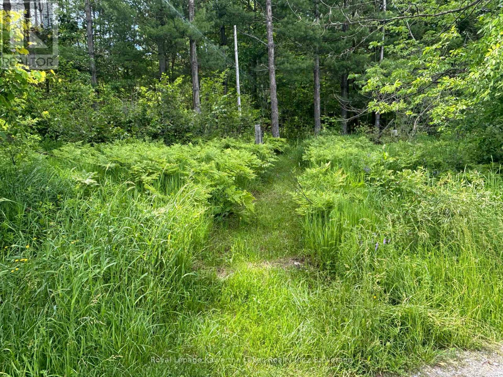 Pt Lt 11 Con 7 Ranchers Road, Kawartha Lakes, Ontario  K0M 1G0 - Photo 9 - X13451186