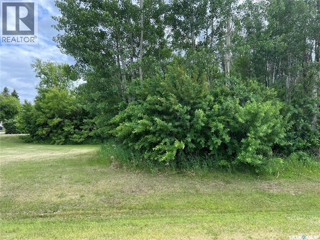 327 Windsor Avenue, Porcupine Plain, Saskatchewan  S0E 1H0 - Photo 2 - SK039578