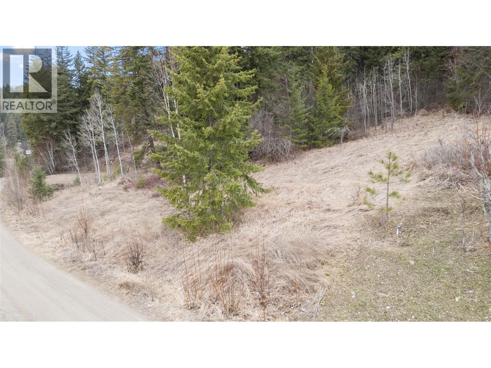 2481 Squilax-Anglemont Road Lot# 21, Lee Creek, British Columbia  V0E 1M4 - Photo 10 - 10391530
