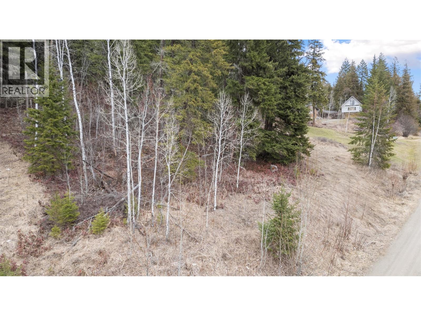 2481 Squilax-Anglemont Road Lot# 21, Lee Creek, British Columbia  V0E 1M4 - Photo 8 - 10391530