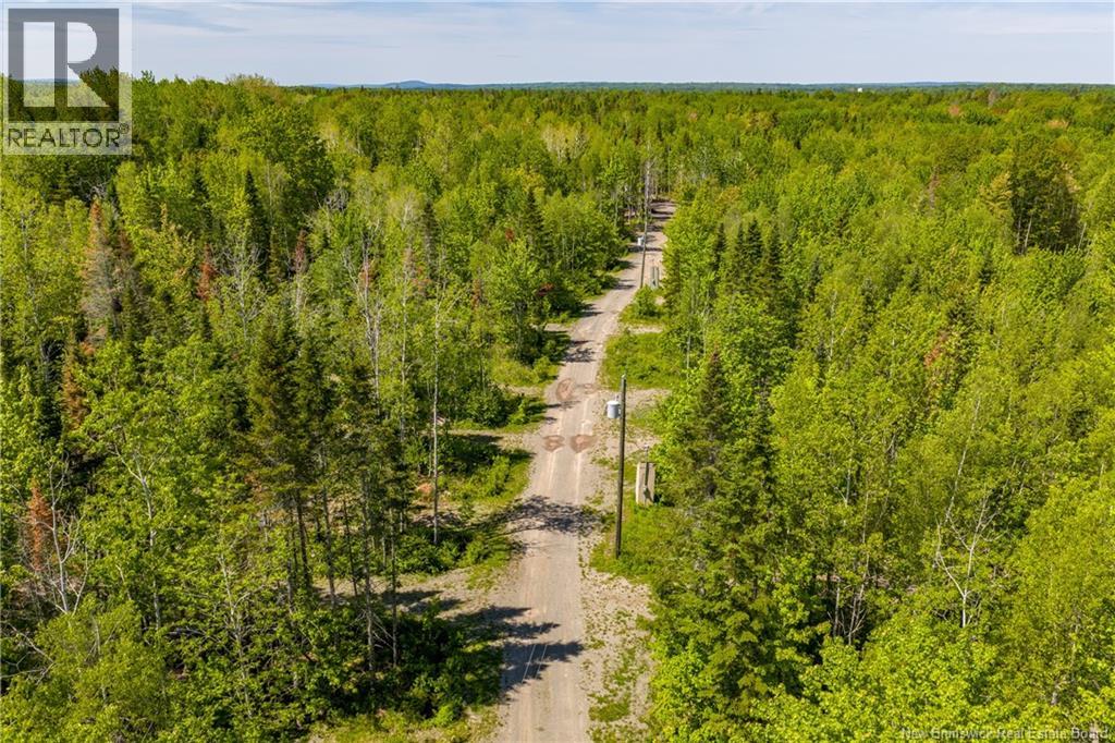 423 Salisbury Back Road, Salisbury, New Brunswick  E4J 1K3 - Photo 37 - NB140434