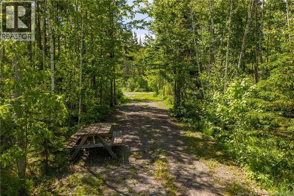 423 Salisbury Back Road, Salisbury, New Brunswick  E4J 1K3 - Photo 38 - NB140434