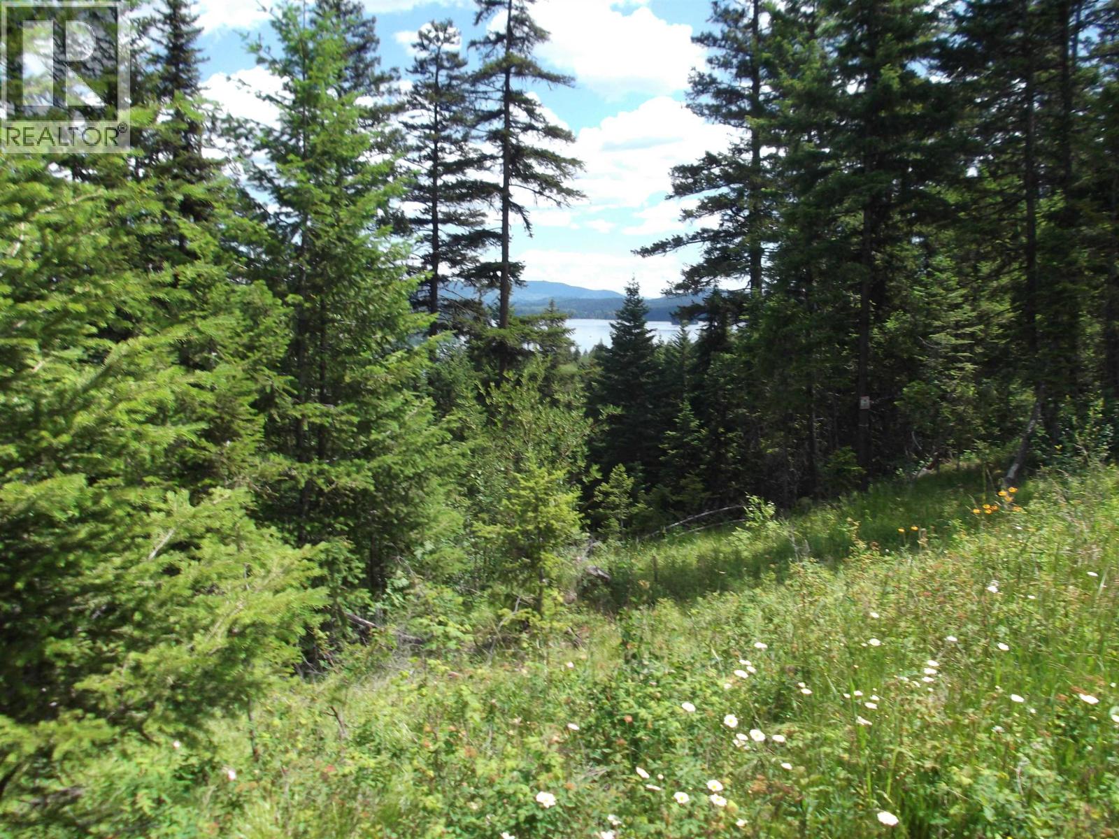 7872 Brown Road, Bridge Lake, British Columbia  V0K 1E0 - Photo 37 - R3122440