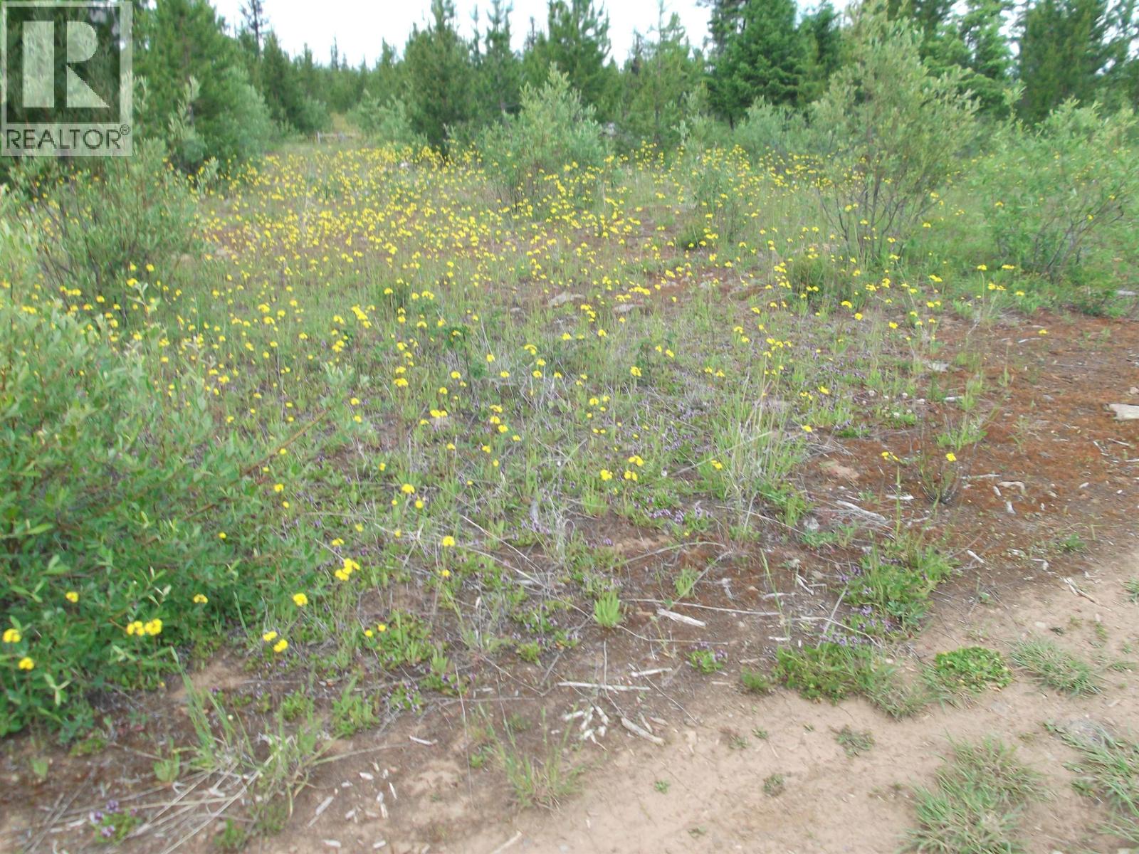7872 Brown Road, Bridge Lake, British Columbia  V0K 1E0 - Photo 36 - R3122440