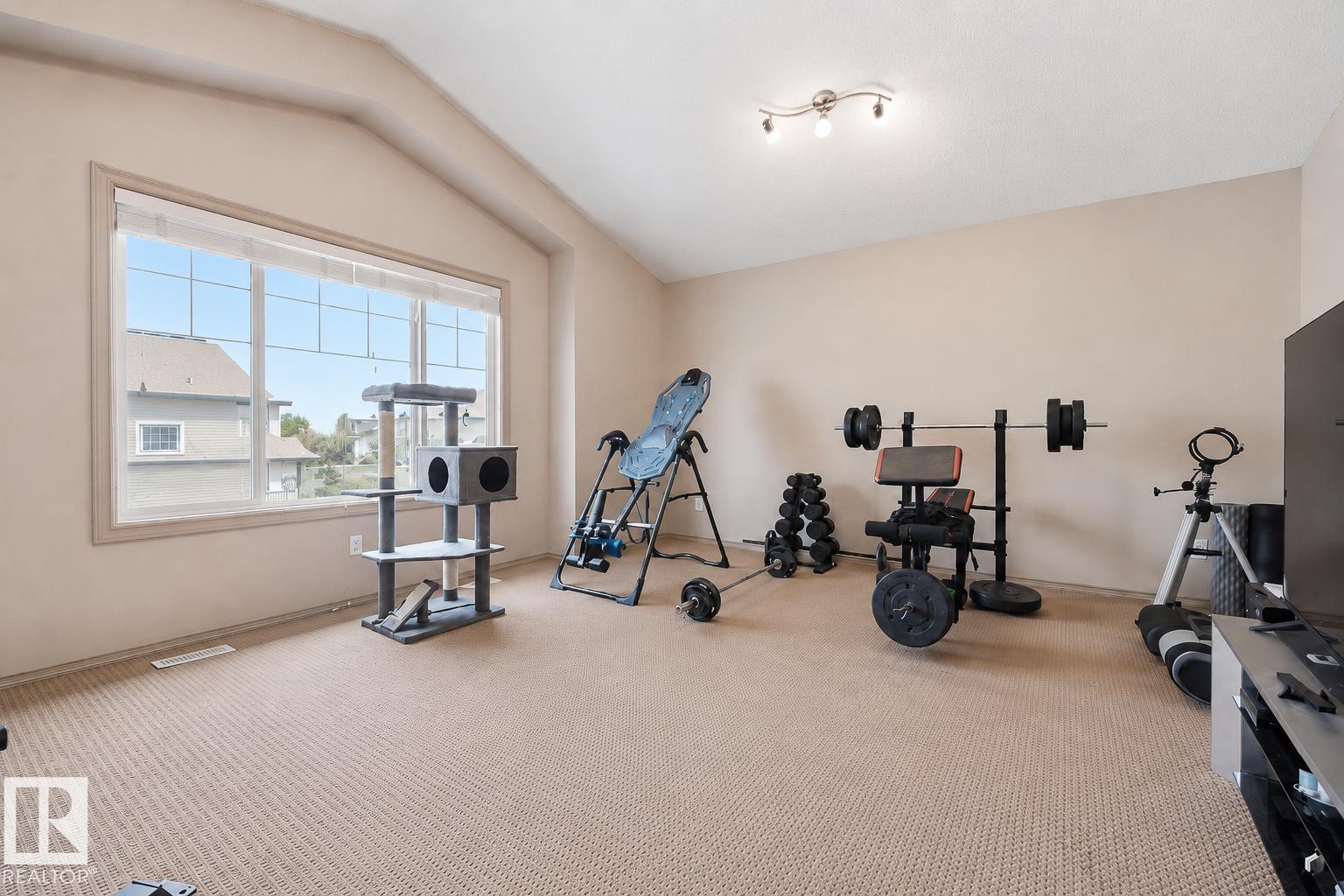 543 Geissinger Lo Nw, Edmonton, Alberta  T5T 6T1 - Photo 19 - E4493927