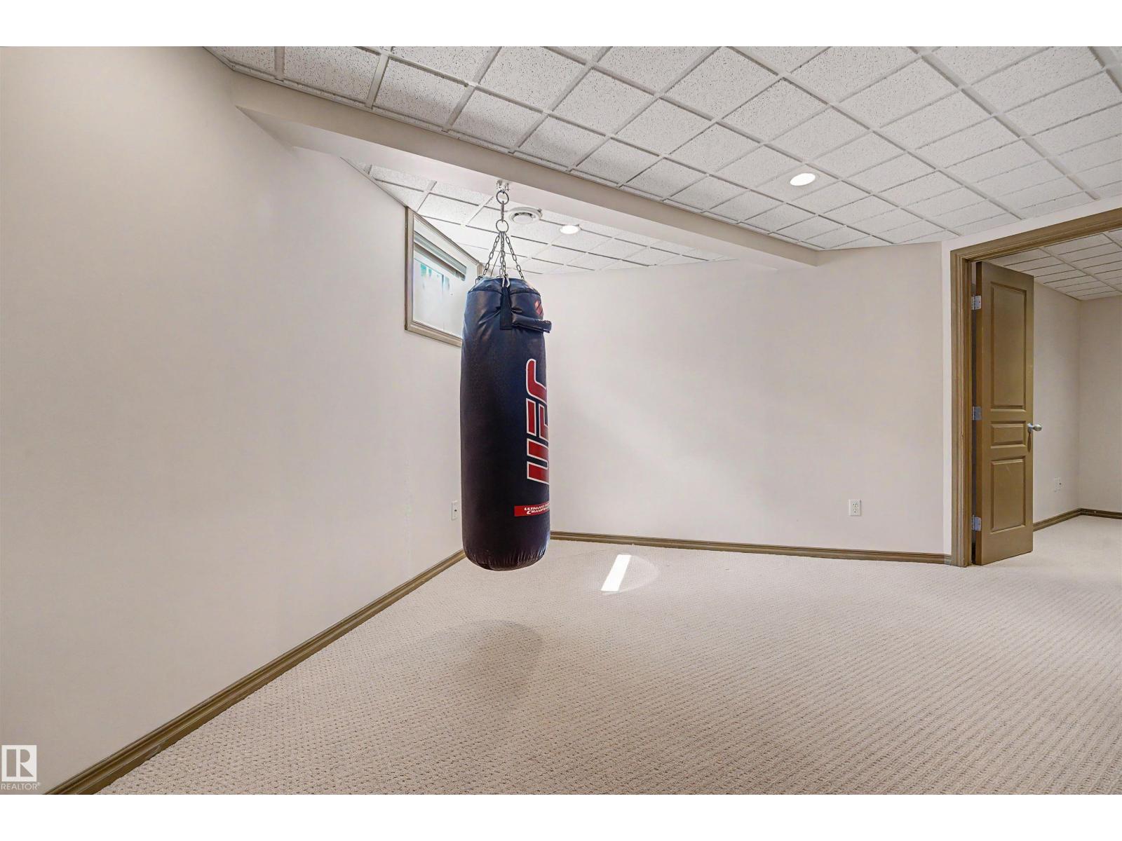 543 Geissinger Lo Nw, Edmonton, Alberta  T5T 6T1 - Photo 42 - E4493927