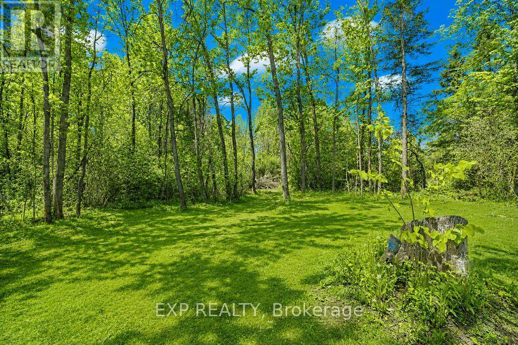384 Carnegie Beach Road, Scugog, Ontario  L9L 1B6 - Photo 12 - E13451568