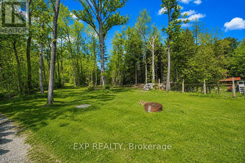 384 Carnegie Beach Road, Scugog, Ontario  L9L 1B6 - Photo 13 - E13451568