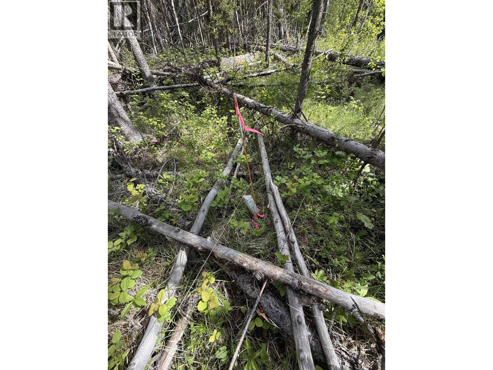 7554 Womack Road, Deka Lake / Sulphurous / Hathaway Lakes, British Columbia  V0K 1X3 - Photo 17 - R3135674
